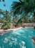 Tropical Garden 1 of 8